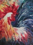 rockin rooster