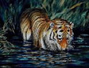 tiger