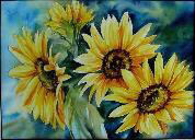 sunflowers