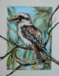 kookaburra